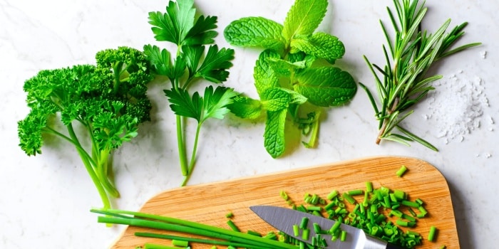 5 herbes aromatiques bonnes à manger et bonnes pour la santé