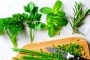5 herbes aromatiques bonnes à manger et bonnes pour la santé