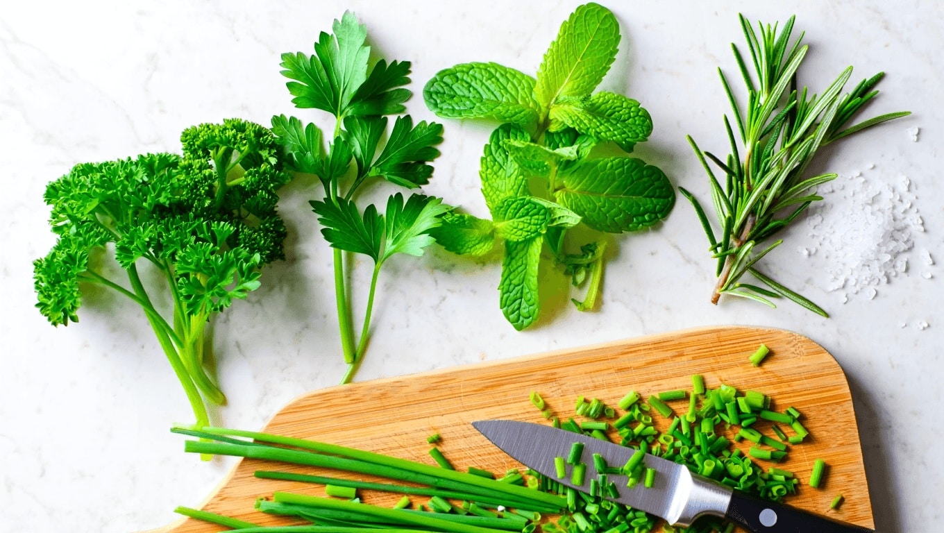 5 herbes aromatiques bonnes à manger et bonnes pour la santé