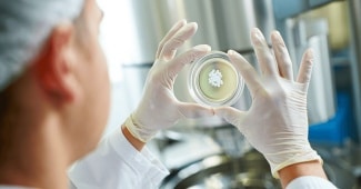Un endomètre artificiel pour étudier au laboratoire l’implantation embryonnaire jusqu’au jour 14
