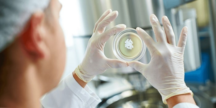 Un endomètre artificiel pour étudier au laboratoire l’implantation embryonnaire jusqu’au jour 14