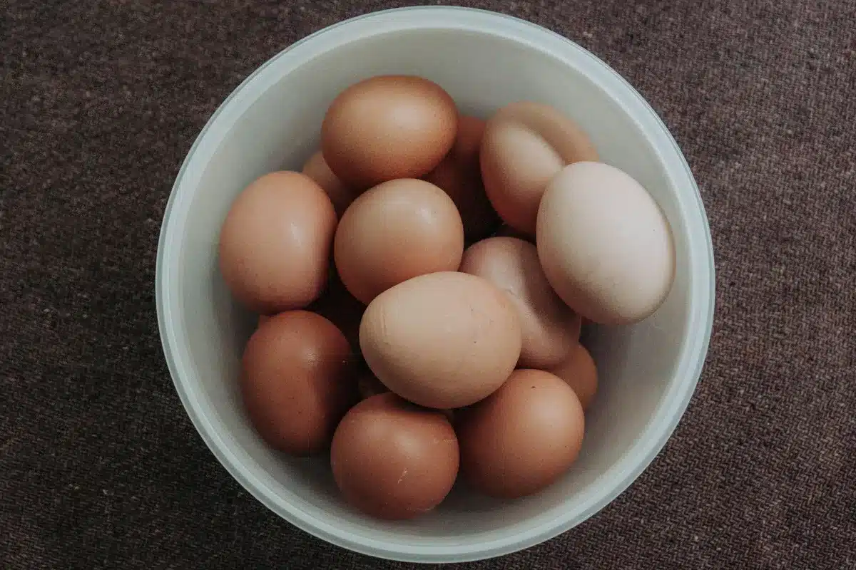 Œufs cuits et aliments protéinés dans un bol, mettant en avant la qualité nutritionnelle