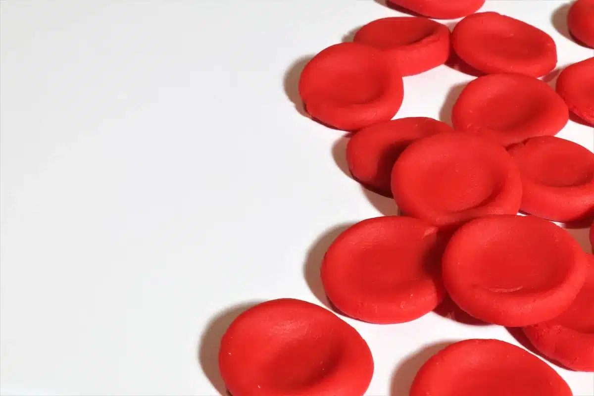 Illustration schématique de la moelle osseuse et de la production des globules rouges