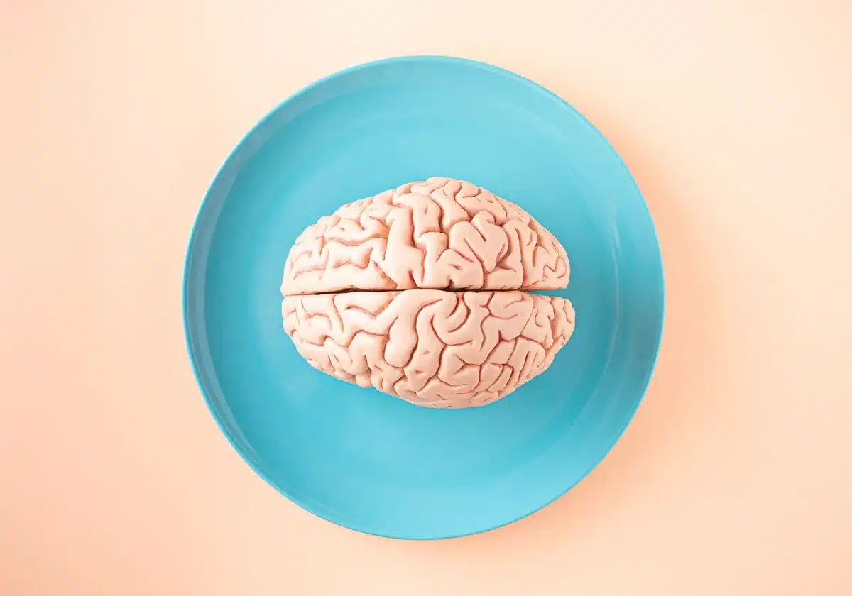 Visualisation des circuits neurobiologiques et des changements cognitifs induits par la psilocybine
