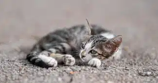 Une personne reposant sa main sur une table de nuit le matin, symbolisant la fatigue persistante.