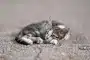 Une personne reposant sa main sur une table de nuit le matin, symbolisant la fatigue persistante.