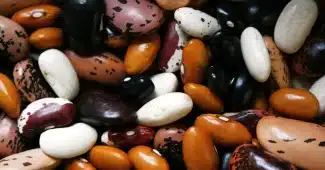 Bol de haricots blancs cuits avec légumes frais et céréales complètes sur un plan de travail