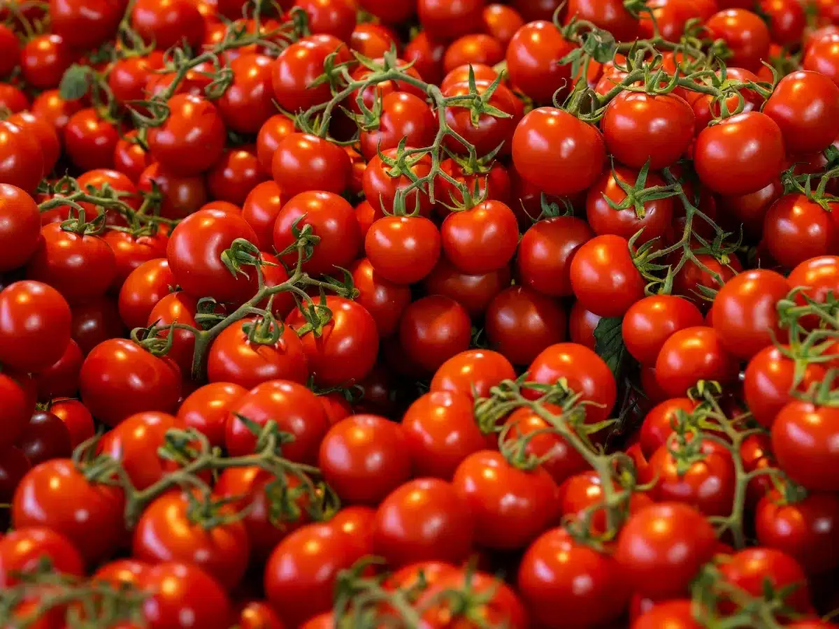 Étagères avec étiquettes et produits variés montrant la variété des labels disponibles