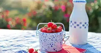 Bol de cerises fraîches sur un plan de travail de cuisine à la lumière du jour, couteau et herbes à côté