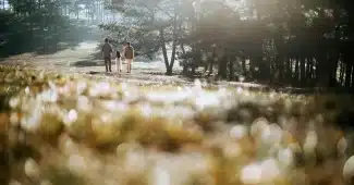 Famille anonyme faisant une activité physique ensemble dans un parc en plein jour