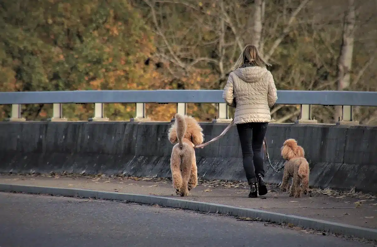 Personne faisant une courte promenade en plein jour dans un parc