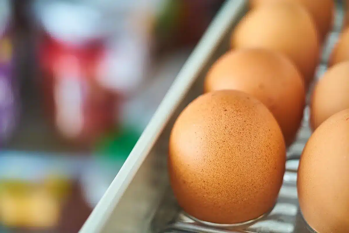 Assortiment de sources de protéines : œufs, yaourt grec et poulet grillé