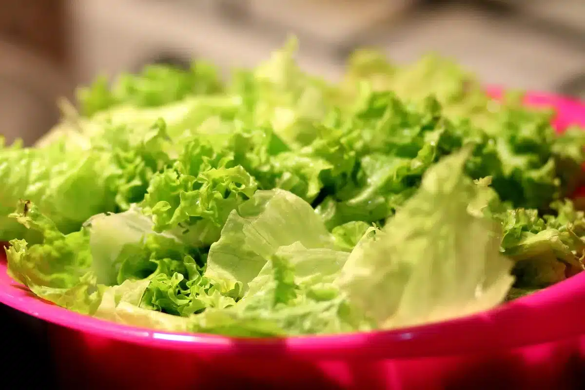 Salade de légumes croquants et céréales servie sur une table en journée