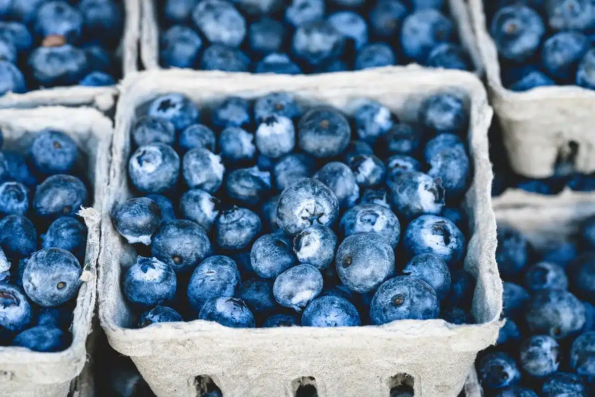Étiquettes alimentaires « light » et « sans gras » alignées sur une étagère