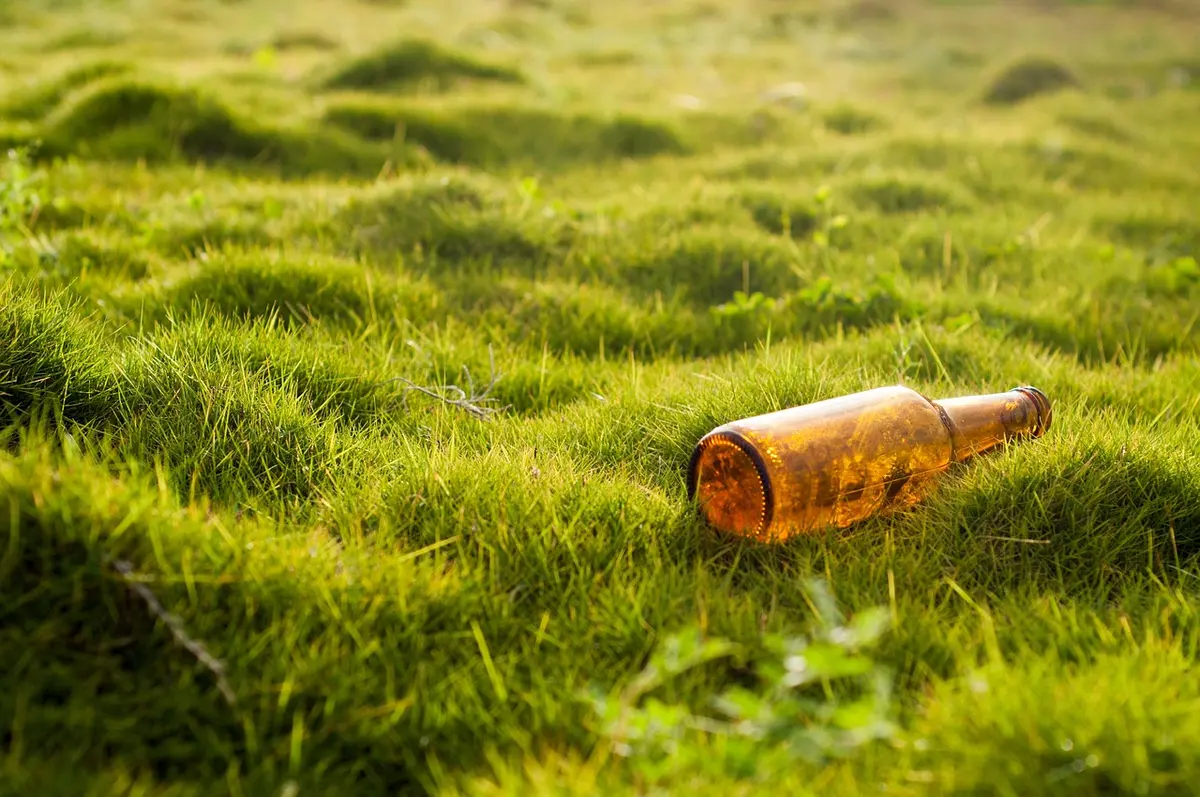 Bouteilles pour fermentation domestique posées sur un plan de travail lumineux